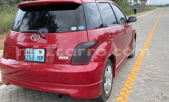 Tenga Tsaru Toyota IST Zvimwe Mota in Maputo in Maputo Tenga Tsaru Toyota IST Zvimwe Mota in Maputo in Maputo