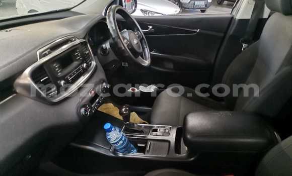 Buy Used Kia Sorento Other Car in Maputo in Maputo Buy Used Kia Sorento Other Car in Maputo in Maputo