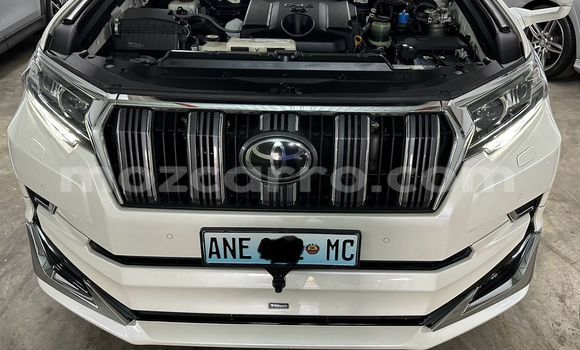 Buy New Toyota Land Cruiser White Car in Maputo in Maputo Buy New Toyota Land Cruiser White Car in Maputo in Maputo