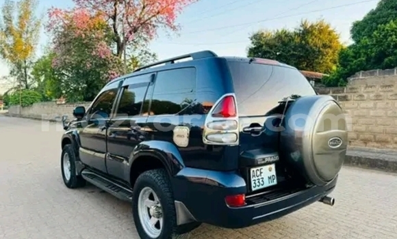 Tenga Tsaru Toyota Land Cruiser Prado Zvimwe Mota in Maputo in Maputo Tenga Tsaru Toyota Land Cruiser Prado Zvimwe Mota in Maputo in Maputo