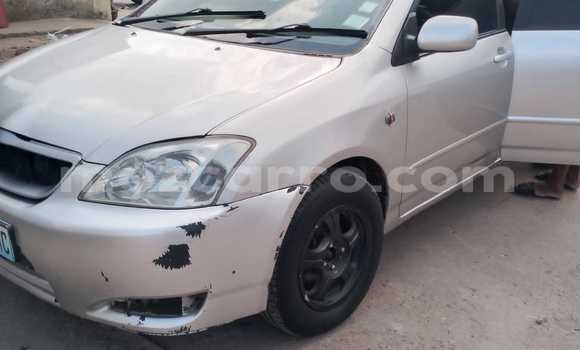 Buy Used Toyota Runx Other Car in Maputo in Maputo
