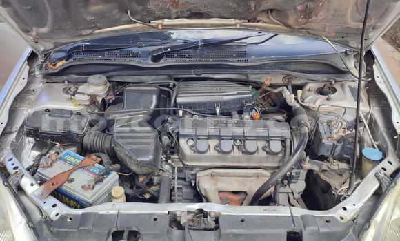 Tenga Tsaru Honda Civic Zvimwe Mota in Maputo in Maputo Tenga Tsaru Honda Civic Zvimwe Mota in Maputo in Maputo