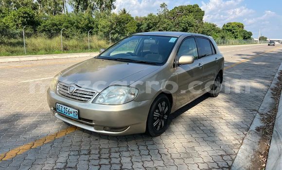 Buy Used Toyota Runx Other Car in Maputo in Maputo Buy Used Toyota Runx Other Car in Maputo in Maputo