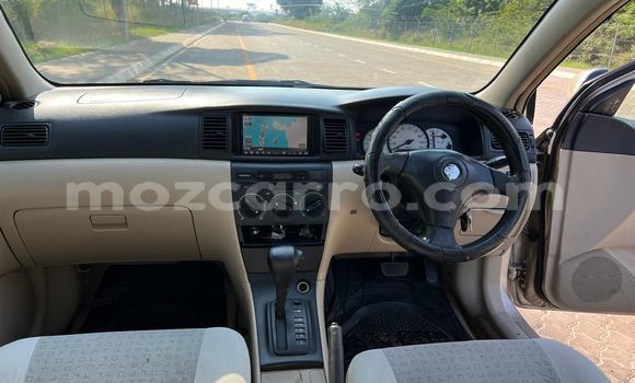 Buy Used Toyota Runx Other Car in Maputo in Maputo Buy Used Toyota Runx Other Car in Maputo in Maputo