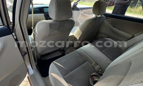 Buy Used Toyota Runx Other Car in Maputo in Maputo Buy Used Toyota Runx Other Car in Maputo in Maputo