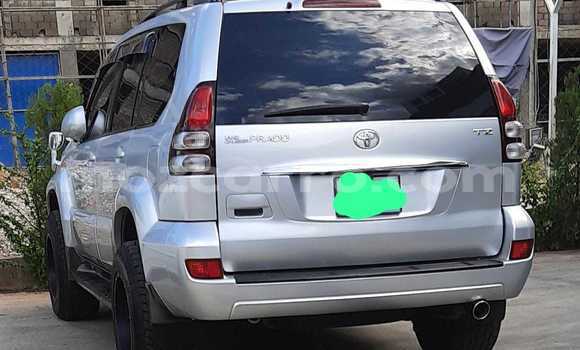 Tenga Tsaru Toyota Land Cruiser Sirivha Mota in Maputo in Maputo Tenga Tsaru Toyota Land Cruiser Sirivha Mota in Maputo in Maputo