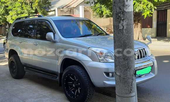 Tenga Tsaru Toyota Land Cruiser Sirivha Mota in Maputo in Maputo Tenga Tsaru Toyota Land Cruiser Sirivha Mota in Maputo in Maputo