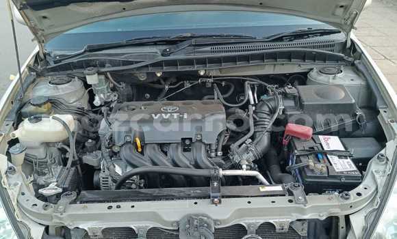 Buy New Toyota Allion Silver Car in Maputo in Maputo Buy New Toyota Allion Silver Car in Maputo in Maputo