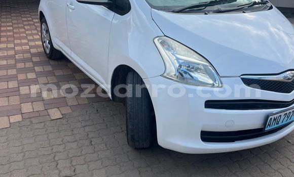 Buy Used Toyota Ractis White Car in Maputo in Maputo