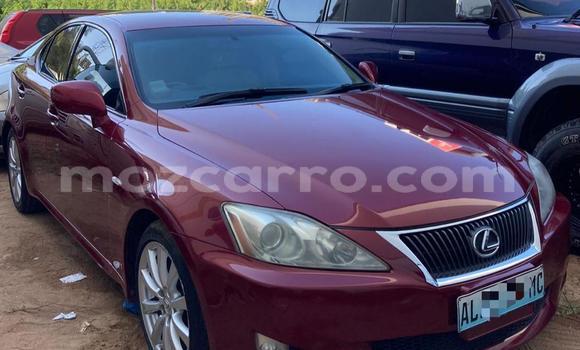 Comprar Usado Lexus IS Vermelho Carro em Maputo em Maputo