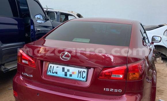 Nunua Ilio tumika Lexus IS Nyekundu Gari ndani ya Maputo nchini Maputo Nunua Ilio tumika Lexus IS Nyekundu Gari ndani ya Maputo nchini Maputo
