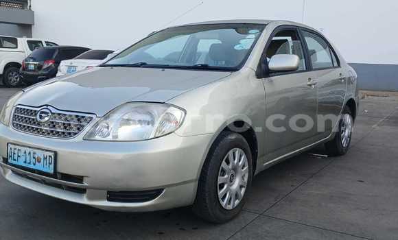 Comprar Usado Toyota Corolla Prata Carro em Maputo em Maputo Comprar Usado Toyota Corolla Prata Carro em Maputo em Maputo