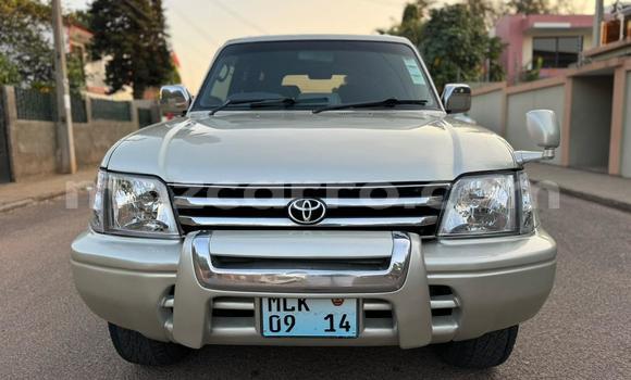 Tenga Tsaru Toyota Land Cruiser Prado Sirivha Mota in Maputo in Maputo