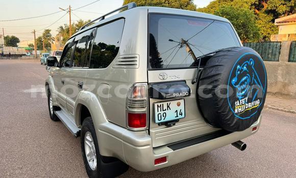 Comprar Usado Toyota Land Cruiser Prado Prata Carro em Maputo em Maputo Comprar Usado Toyota Land Cruiser Prado Prata Carro em Maputo em Maputo