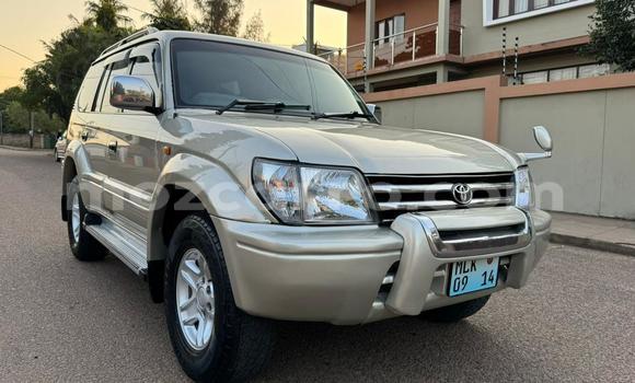 Comprar Usado Toyota Land Cruiser Prado Prata Carro em Maputo em Maputo Comprar Usado Toyota Land Cruiser Prado Prata Carro em Maputo em Maputo