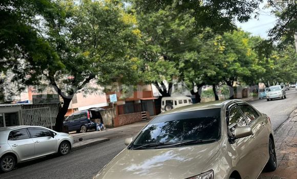 Tenga Itsva Toyota Axio Zvimwe Mota in Maputo in Maputo Tenga Itsva Toyota Axio Zvimwe Mota in Maputo in Maputo