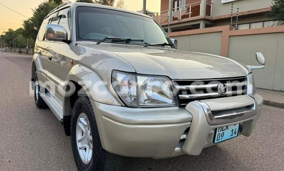 Buy Used Toyota Land Cruiser Prado Other Car in Maputo in Maputo Buy Used Toyota Land Cruiser Prado Other Car in Maputo in Maputo