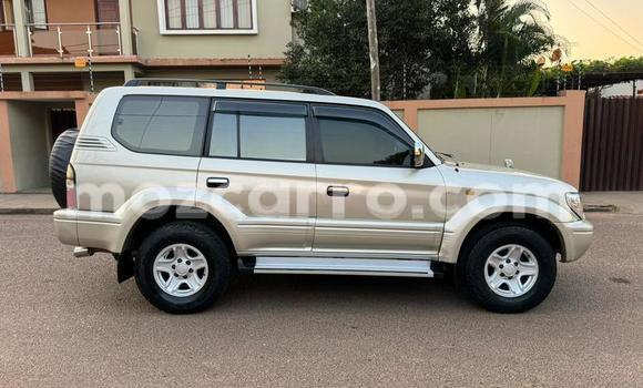 Tenga Tsaru Toyota Land Cruiser Prado Zvimwe Mota in Maputo in Maputo Tenga Tsaru Toyota Land Cruiser Prado Zvimwe Mota in Maputo in Maputo