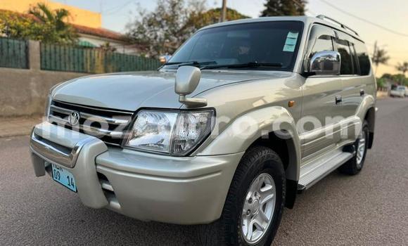 Tenga Tsaru Toyota Land Cruiser Prado Zvimwe Mota in Maputo in Maputo Tenga Tsaru Toyota Land Cruiser Prado Zvimwe Mota in Maputo in Maputo