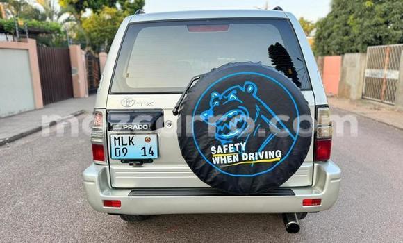 Tenga Tsaru Toyota Land Cruiser Prado Zvimwe Mota in Maputo in Maputo Tenga Tsaru Toyota Land Cruiser Prado Zvimwe Mota in Maputo in Maputo