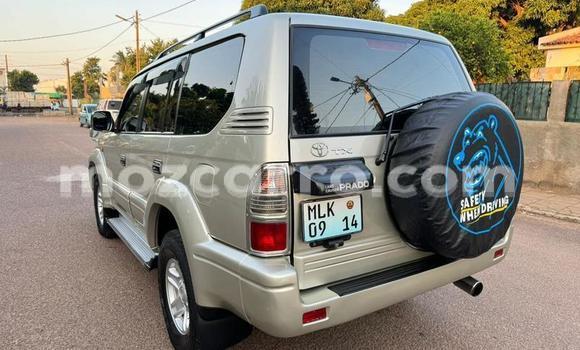Tenga Tsaru Toyota Land Cruiser Prado Zvimwe Mota in Maputo in Maputo Tenga Tsaru Toyota Land Cruiser Prado Zvimwe Mota in Maputo in Maputo