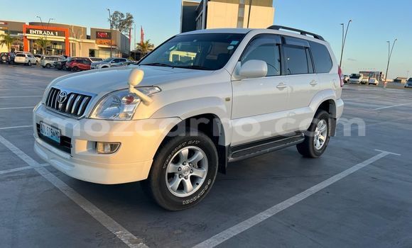 Buy New Toyota Land Cruiser Prado White Car in Maputo in Maputo