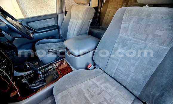 Tenga Tsaru Toyota Land Cruiser Girinhi Mota in Maputo in Maputo Tenga Tsaru Toyota Land Cruiser Girinhi Mota in Maputo in Maputo