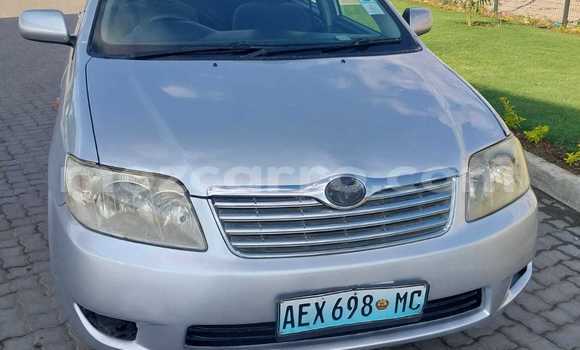 Nunua Ilio tumika Toyota Corolla Nyingine Gari ndani ya Maputo nchini Maputo