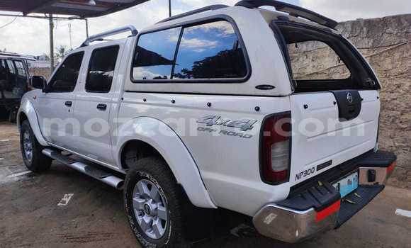 Buy Used Nissan Hardbody White Car in Maputo in Maputo Buy Used Nissan Hardbody White Car in Maputo in Maputo