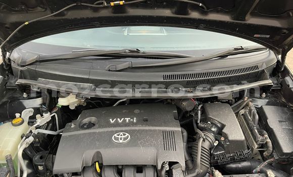 Tenga Tsaru Toyota Auris Nhema Mota in Maputo in Maputo Tenga Tsaru Toyota Auris Nhema Mota in Maputo in Maputo