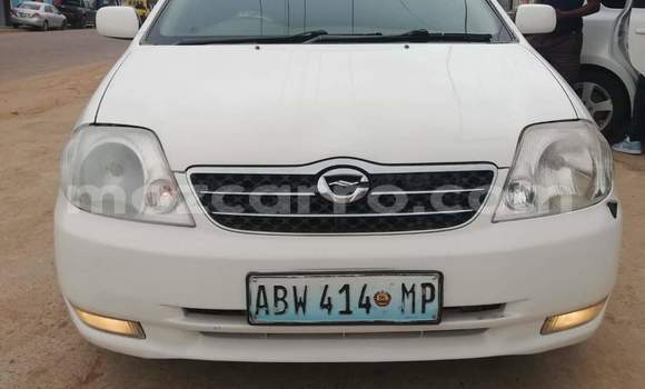 Tenga Tsaru Toyota Corolla Chena Mota in Maputo in Maputo Tenga Tsaru Toyota Corolla Chena Mota in Maputo in Maputo