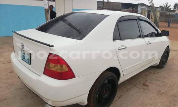 Tenga Tsaru Toyota Corolla Chena Mota in Maputo in Maputo Tenga Tsaru Toyota Corolla Chena Mota in Maputo in Maputo