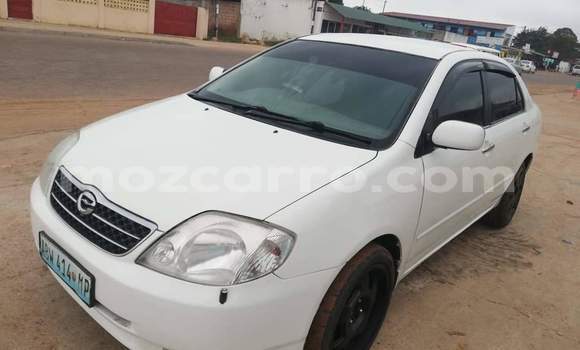 Tenga Tsaru Toyota Corolla Chena Mota in Maputo in Maputo Tenga Tsaru Toyota Corolla Chena Mota in Maputo in Maputo