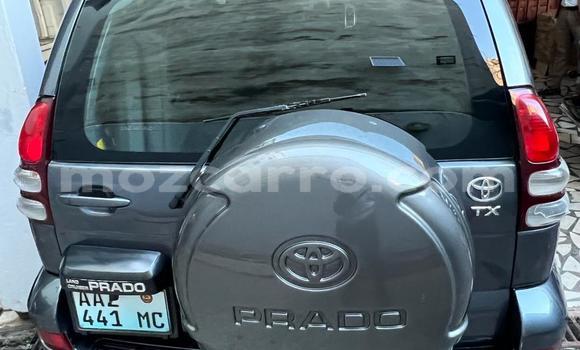 Tenga Tsaru Toyota Land Cruiser Prado Zvimwe Mota in Maputo in Maputo Tenga Tsaru Toyota Land Cruiser Prado Zvimwe Mota in Maputo in Maputo