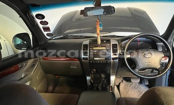 Tenga Tsaru Toyota Land Cruiser Prado Zvimwe Mota in Maputo in Maputo Tenga Tsaru Toyota Land Cruiser Prado Zvimwe Mota in Maputo in Maputo