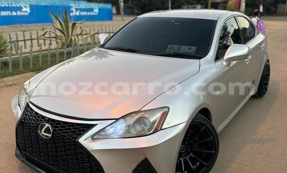 Buy New Lexus IS Silver Car in Maputo in Maputo