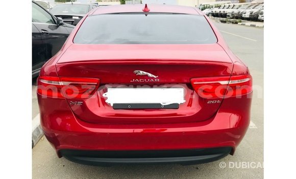 Nunua Imported Jaguar XE Nyekundu Gari ndani ya Import - Dubai nchini Cabo Delgado Nunua Imported Jaguar XE Nyekundu Gari ndani ya Import - Dubai nchini Cabo Delgado