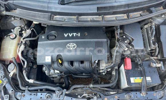 Tenga Tsaru Toyota Auris Nhema Mota in Maputo in Maputo Tenga Tsaru Toyota Auris Nhema Mota in Maputo in Maputo