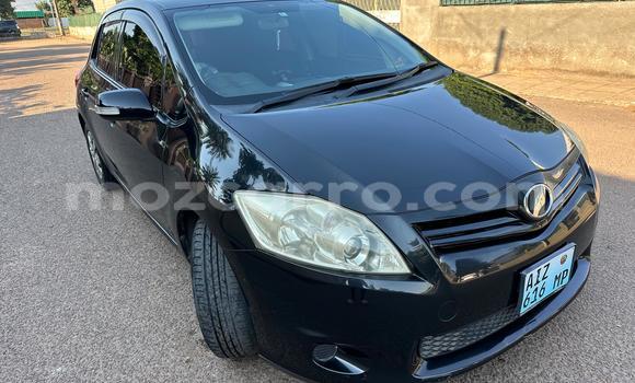 Tenga Tsaru Toyota Auris Nhema Mota in Maputo in Maputo Tenga Tsaru Toyota Auris Nhema Mota in Maputo in Maputo