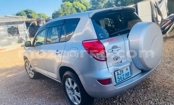 Buy New Toyota RAV4 Silver Car in Maputo in Maputo Buy New Toyota RAV4 Silver Car in Maputo in Maputo