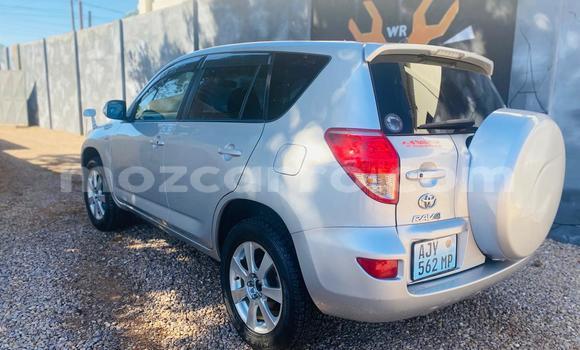 Buy New Toyota RAV4 Silver Car in Maputo in Maputo Buy New Toyota RAV4 Silver Car in Maputo in Maputo