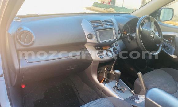 Buy New Toyota RAV4 Silver Car in Maputo in Maputo Buy New Toyota RAV4 Silver Car in Maputo in Maputo