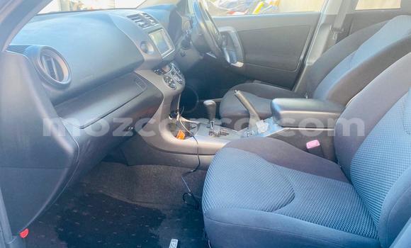 Buy New Toyota RAV4 Silver Car in Maputo in Maputo Buy New Toyota RAV4 Silver Car in Maputo in Maputo