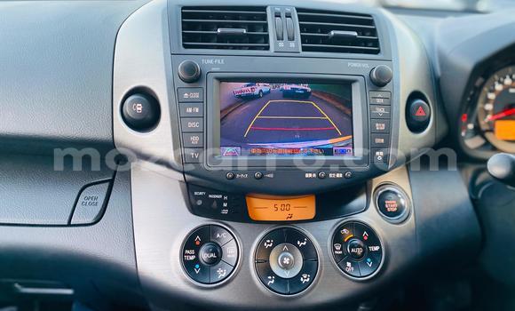 Tenga Tsaru Toyota Vanguard Sirivha Mota in Maputo in Maputo Tenga Tsaru Toyota Vanguard Sirivha Mota in Maputo in Maputo