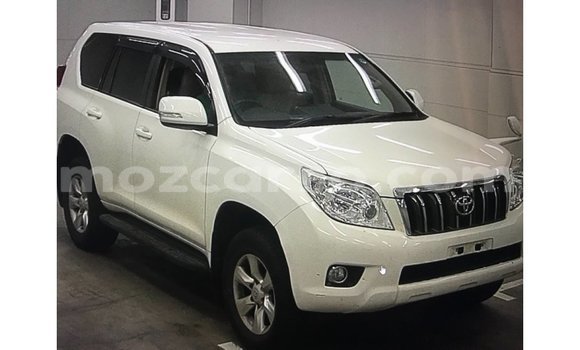 Comprar Importar Toyota Prado Branco Carro em Import - Dubai em Cabo Delgado Comprar Importar Toyota Prado Branco Carro em Import - Dubai em Cabo Delgado