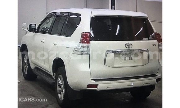 Comprar Importar Toyota Prado Branco Carro em Import - Dubai em Cabo Delgado Comprar Importar Toyota Prado Branco Carro em Import - Dubai em Cabo Delgado