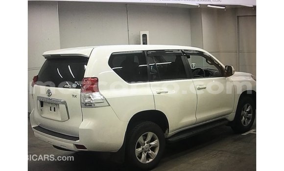 Comprar Importar Toyota Prado Branco Carro em Import - Dubai em Cabo Delgado Comprar Importar Toyota Prado Branco Carro em Import - Dubai em Cabo Delgado
