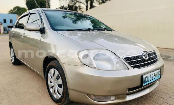 Comprar Usado Toyota Corolla De outros Carro em Maputo em Maputo