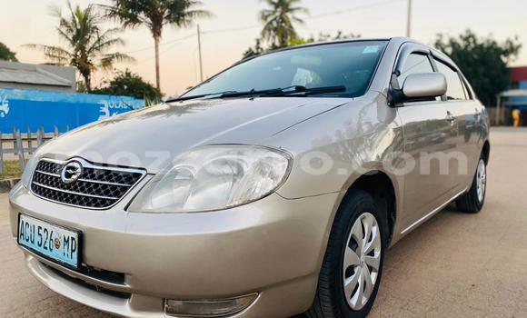 Comprar Usado Toyota Corolla De outros Carro em Maputo em Maputo Comprar Usado Toyota Corolla De outros Carro em Maputo em Maputo