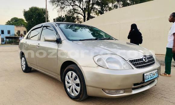 Comprar Usado Toyota Corolla De outros Carro em Maputo em Maputo Comprar Usado Toyota Corolla De outros Carro em Maputo em Maputo